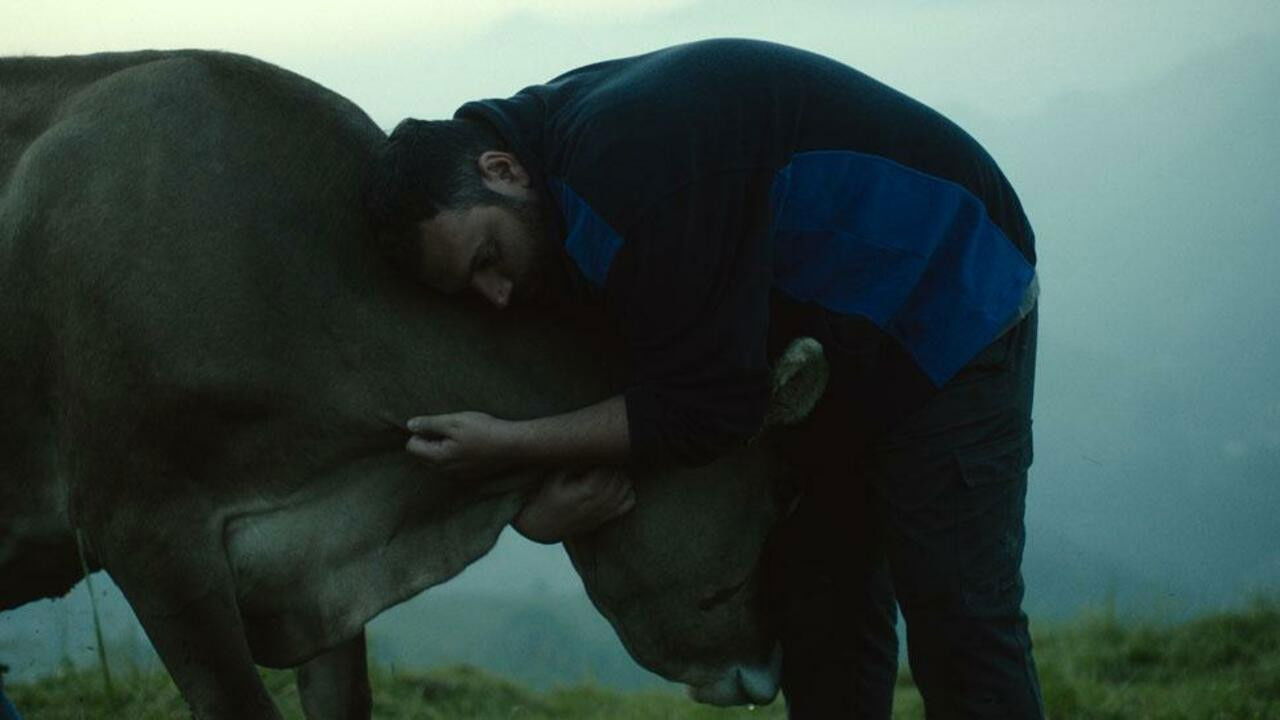 Уроки любви (фильм, 2019)