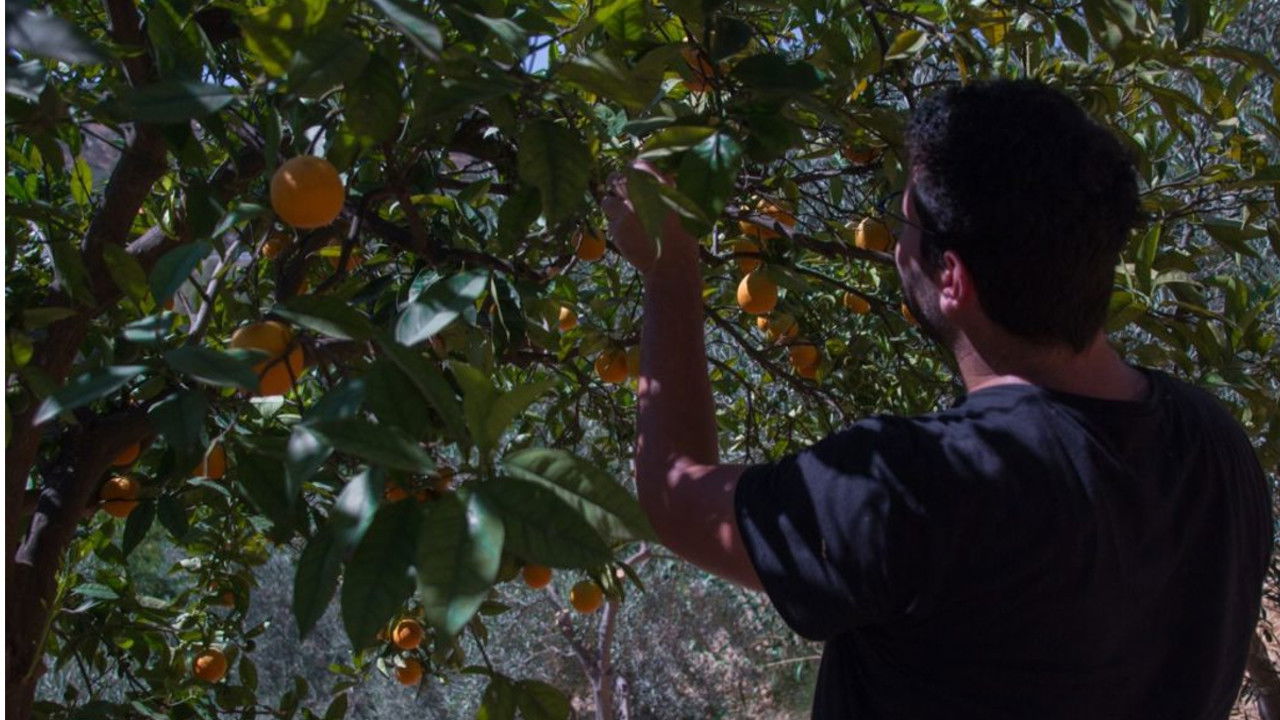 Холст, масло (фильм, 2019)