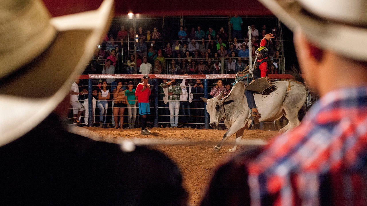 Возвращение домой (фильм, 2019)