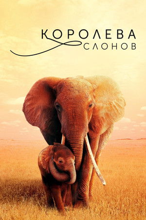 Королева слонов (фильм, 2019)