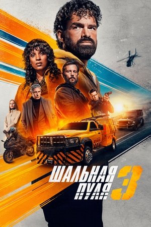 Шальная пуля 3 (фильм, 2025)
