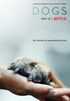 Собаки (сериал, 2018)