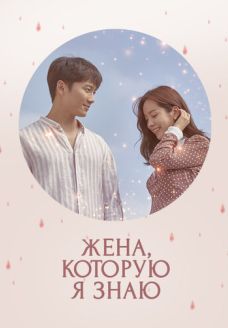 Знакомая жена (сериал, 2018)