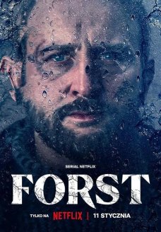 Детектив Форст (сериал, 2024)