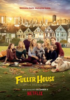 Более полный дом (сериал, 2016)