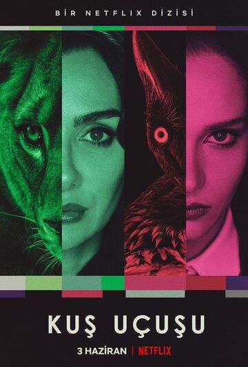 Полёт птицы (сериал, 2022)