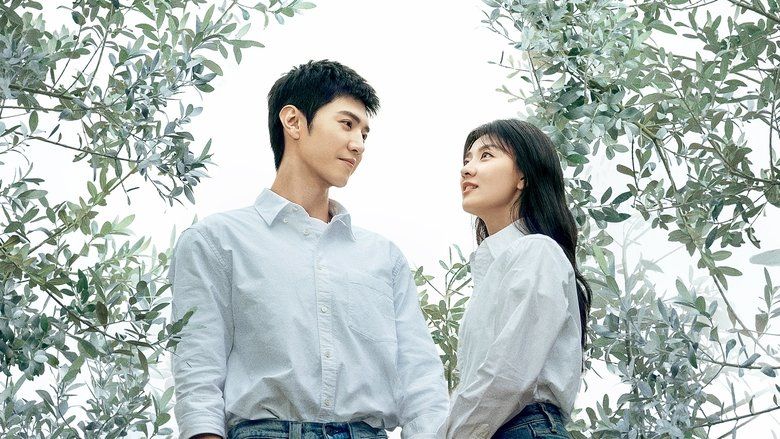 Белое оливковое дерево (сериал, 2025)