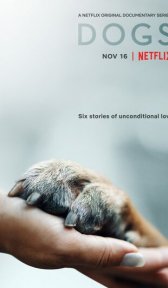 Собаки (сериал, 2018)