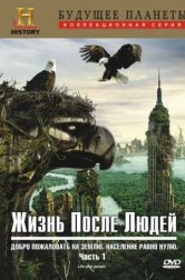 Жизнь после людей (сериал, 2009)