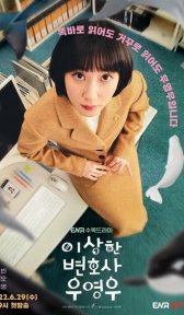 Необычный адвокат (сериал, 2022)