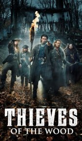 Фламандские разбойники (сериал, 2018)