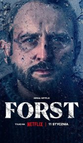 Детектив Форст (сериал, 2024)
