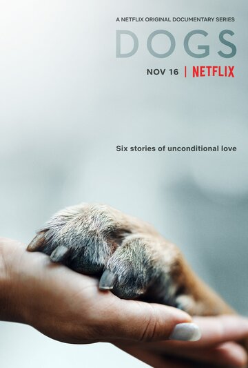 Собаки (сериал, 2018)