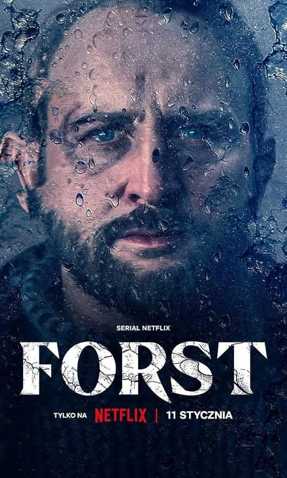 Детектив Форст (сериал, 2024)